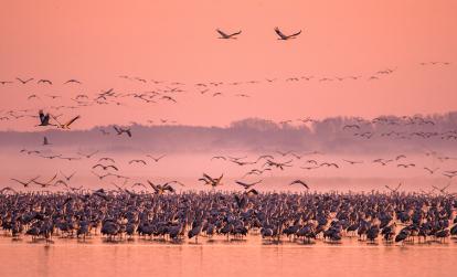 A Découvrir en Hongrie - Parc National d'Hortobagy
