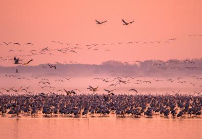 A Découvrir en Hongrie - Parc National d'Hortobagy