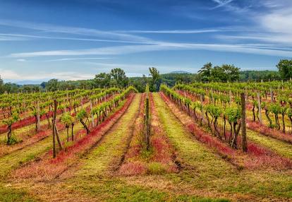 A Découvrir en Hongrie - Tokaj