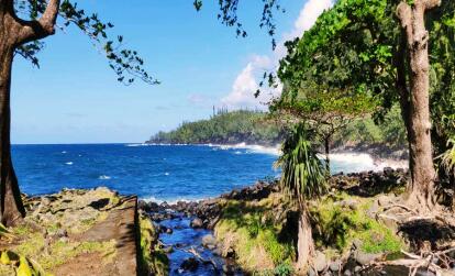 A Découvrir à l'Ile de la Réunion - L’Anse des Cascades