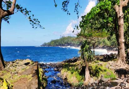 A Découvrir à l'Ile de la Réunion - L’Anse des Cascades