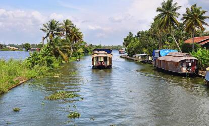 Kerala - Allepey A Découvrir en Inde - Les Backwaters du Kerala