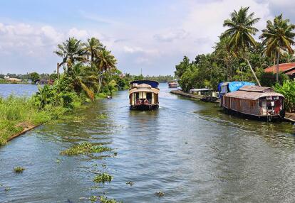 A Découvrir en Inde - Les Backwaters du Kerala