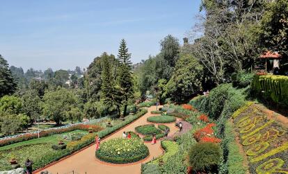 Ooty - Government botanical gardens A Découvrir en Inde - Ooty et les Monts Nilgiris