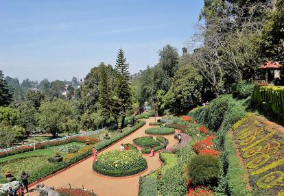 A Découvrir en Inde - Ooty et les Monts Nilgiris