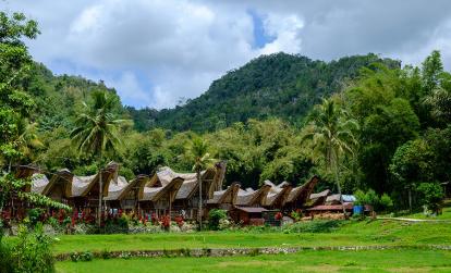 Sulawesi - Tana Toraja A Découvrir en Indonésie - Le Pays Toraja à Sulawesi