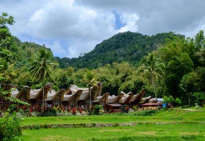 A Découvrir en Indonésie - Le Pays Toraja à Sulawesi