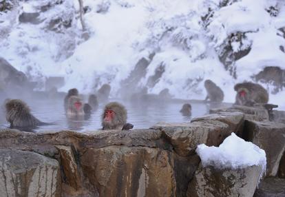 A Découvrir au Japon - Nagano