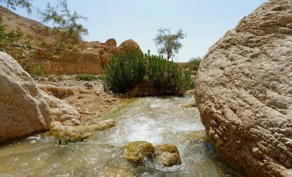 Wadi Ibn Hammad A Découvrir en Jordanie - Le Wadi Ibn Hammad