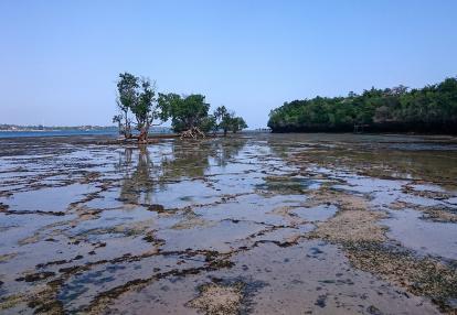 A Découvrir au Kenya - Le Parc Marin de Kisite