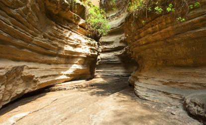 Hells Gate A Découvrir au Kenya - Le Parc National de Hell’s Gate