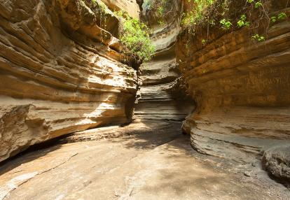 Hells Gate A Découvrir au Kenya - Le Parc National de Hell’s Gate