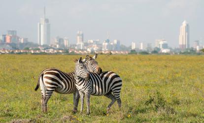 Parc National de Nairobi A Découvrir au Kenya - Le Parc National de Nairobi