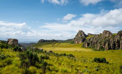 Parc National des Aberdares A Découvrir au Kenya - Le Parc National des Aberdares