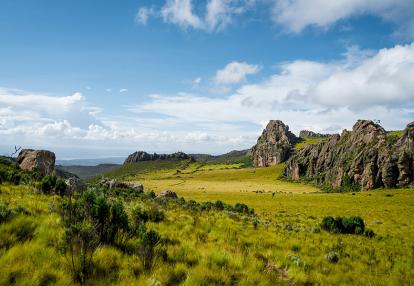 A Découvrir au Kenya - Le Parc National des Aberdares