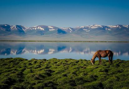 A Découvrir au Kirghizistan - Le Lac Song Kul