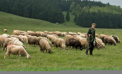 A Découvrir au Kosovo - Brezovica