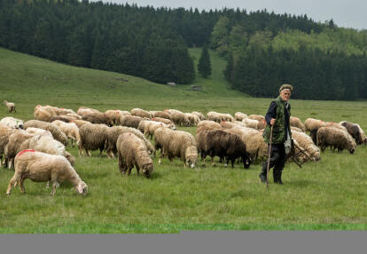 A Découvrir au Kosovo - Brezovica