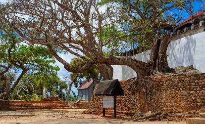 A Découvrir à Madagascar - Ambohimanga