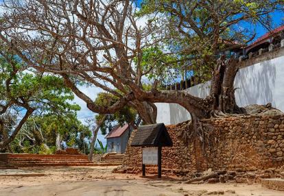 A Découvrir à Madagascar - Ambohimanga