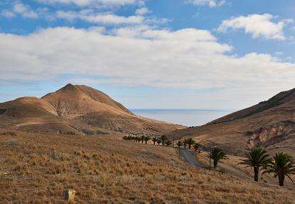 A Découvrir à Madère - Porto Santo