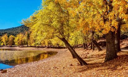A Découvrir au Maroc - La forêt d'Ifrane