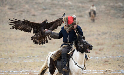 A Découvrir en Mongolie - La Chasse à l'Aigle