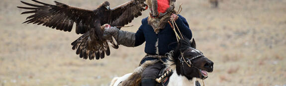 Chasse à l'Aigle