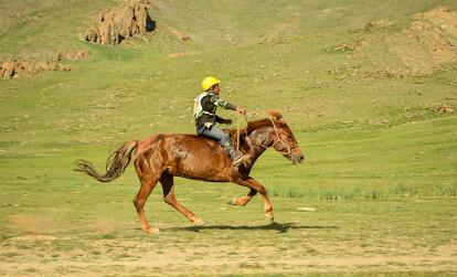 A Découvrir en Mongolie - Le Festival du Naadam
