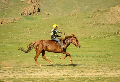 Mongolian horse race during Naadam festival A Découvrir en Mongolie - Le Festival du Naadam