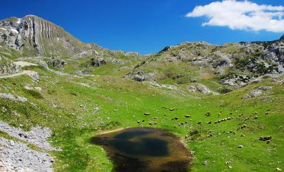 Parc National du Durmitor A Découvrir au Monténégro - Le Parc National du Durmitor