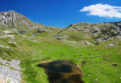 A Découvrir au Monténégro - Le Parc National du Durmitor