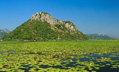 A Découvrir au Monténégro - Le Parc national du Lac de Skadar