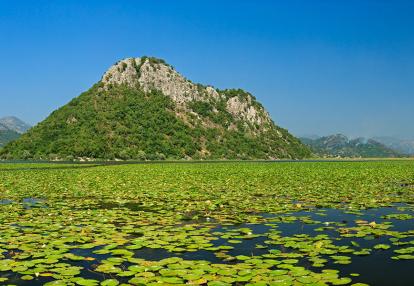 A Découvrir au Monténégro - Le Parc national du Lac de Skadar
