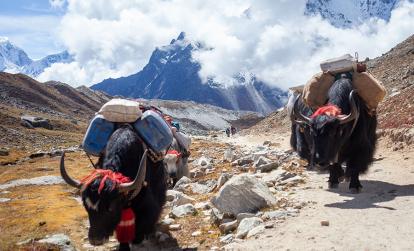 Parc National de Sagarmatha A Découvrir au Népal - Le Parc National de Sagarmatha