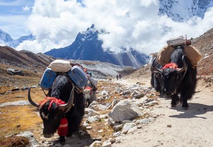 A Découvrir au Népal - Le Parc National de Sagarmatha