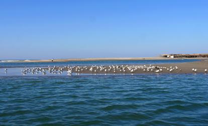 Isla Juan Venado A Découvrir au Nicaragua - Isla Juan Venado