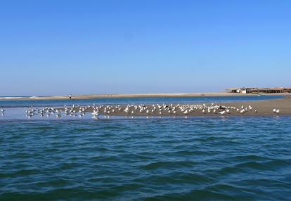 A Découvrir au Nicaragua - Isla Juan Venado