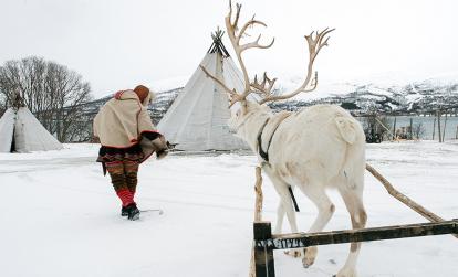 Sami A Découvrir en Norvège - Le Peuple Sami