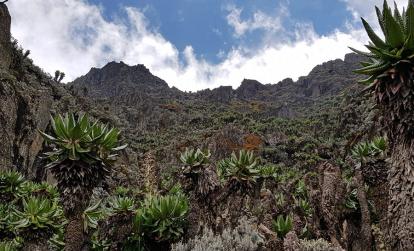 A Découvrir en Ouganda - Parc National des Monts Rwenzori