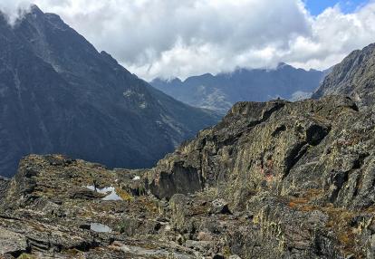 A Découvrir en Ouganda - Parc National de Rwenzori