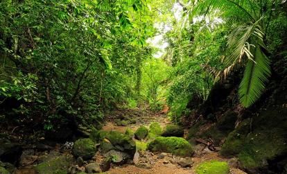 Province de Darién A Découvrir au Panama - La Province de Darién