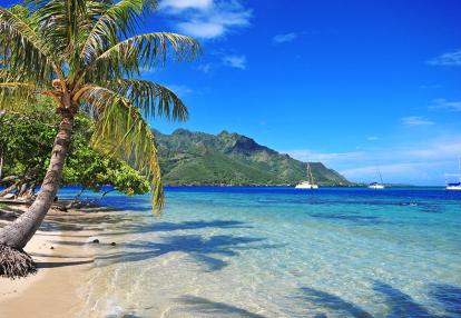 A Découvrir en Polynésie Française - Moorea