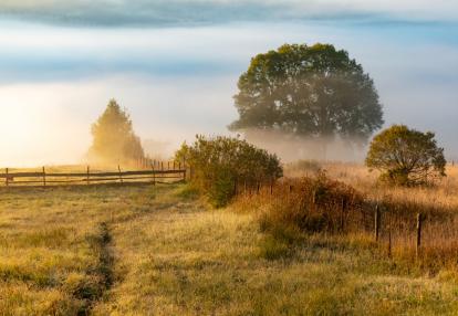 A Découvrir en Roumanie - Les Carpates