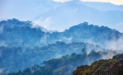 A Découvrir au Rwanda - La Forêt de Nyungwe