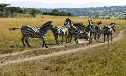 A Découvrir au Rwanda - Parc National de l'Akagera
