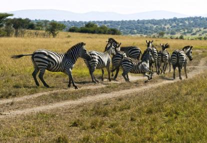 A Découvrir au Rwanda - Parc National de l'Akagera