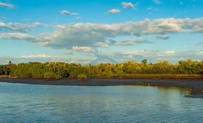 A Découvrir au Salvador - La Baie de Jiquilisco