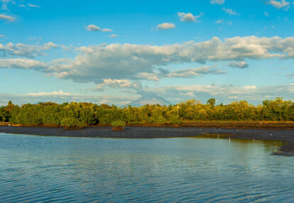 A Découvrir au Salvador - La Baie de Jiquilisco
