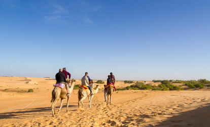 Désert de Lompoul A Découvrir au Sénégal - Les Dunes de Lompoul